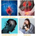 ⁦اكتشف قوة الطبيعة INDOKA – مكمل غذائي متكامل لعيش حياة صحية!⁩ - الصورة ⁦10⁩